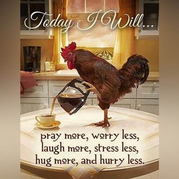 Meet your Posher, Vanessa - Picture 3 of 17